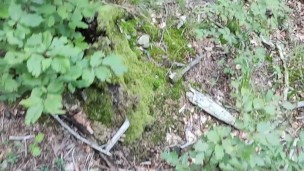 A natural DUMB wife cum slut fuck toy born to be used